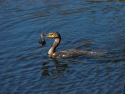 Florida_2007-2008-010
